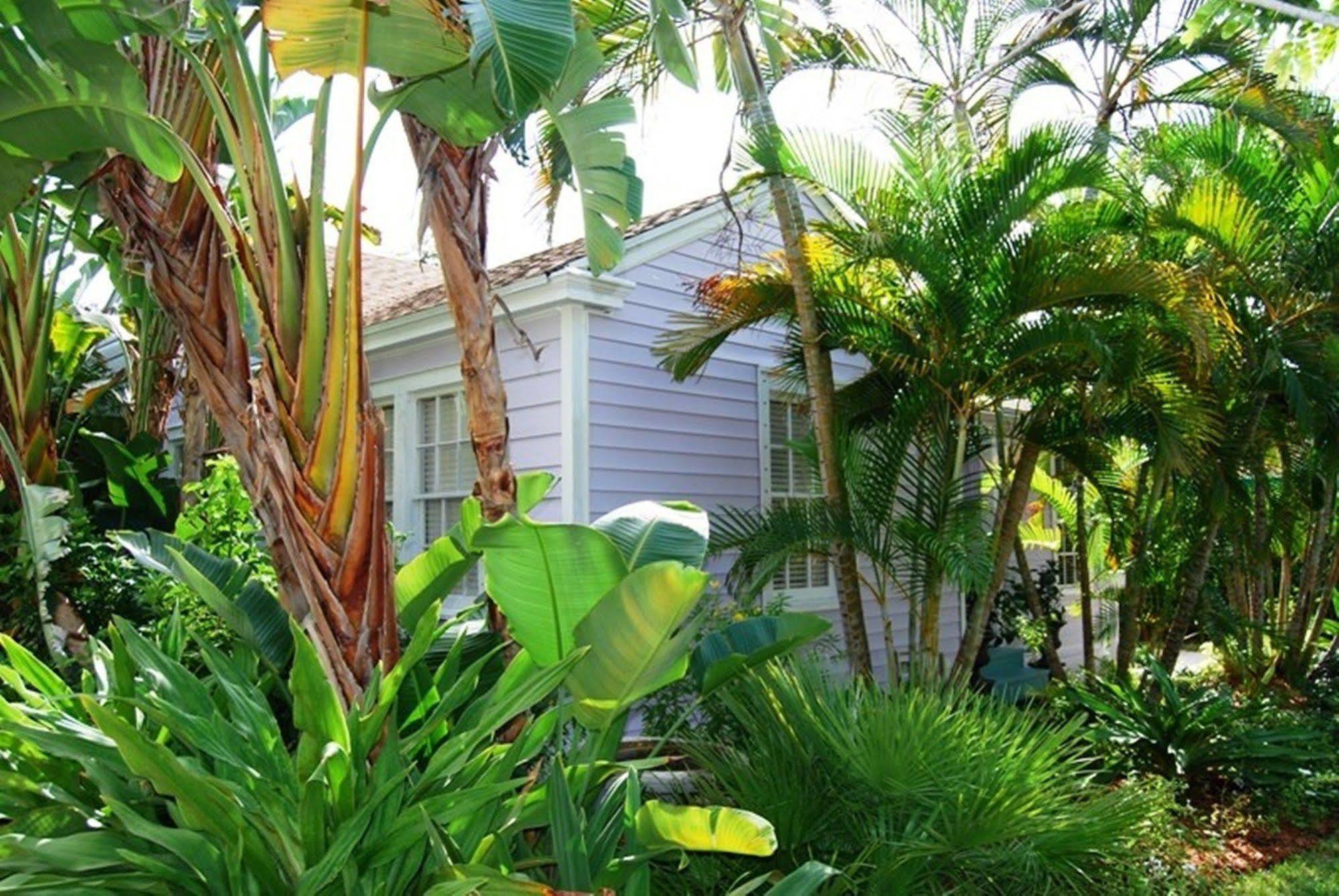Casa Grandview Inn West Palm Beach Dış mekan fotoğraf