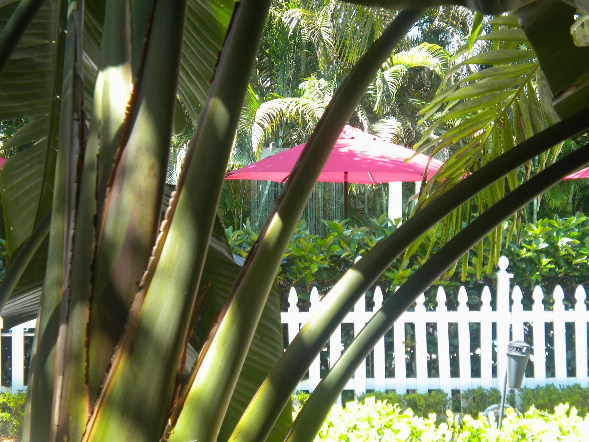 Casa Grandview Inn West Palm Beach Dış mekan fotoğraf